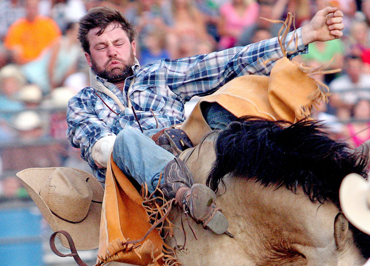 Horsing around in Hyrum at the Star-Spangled Rodeo